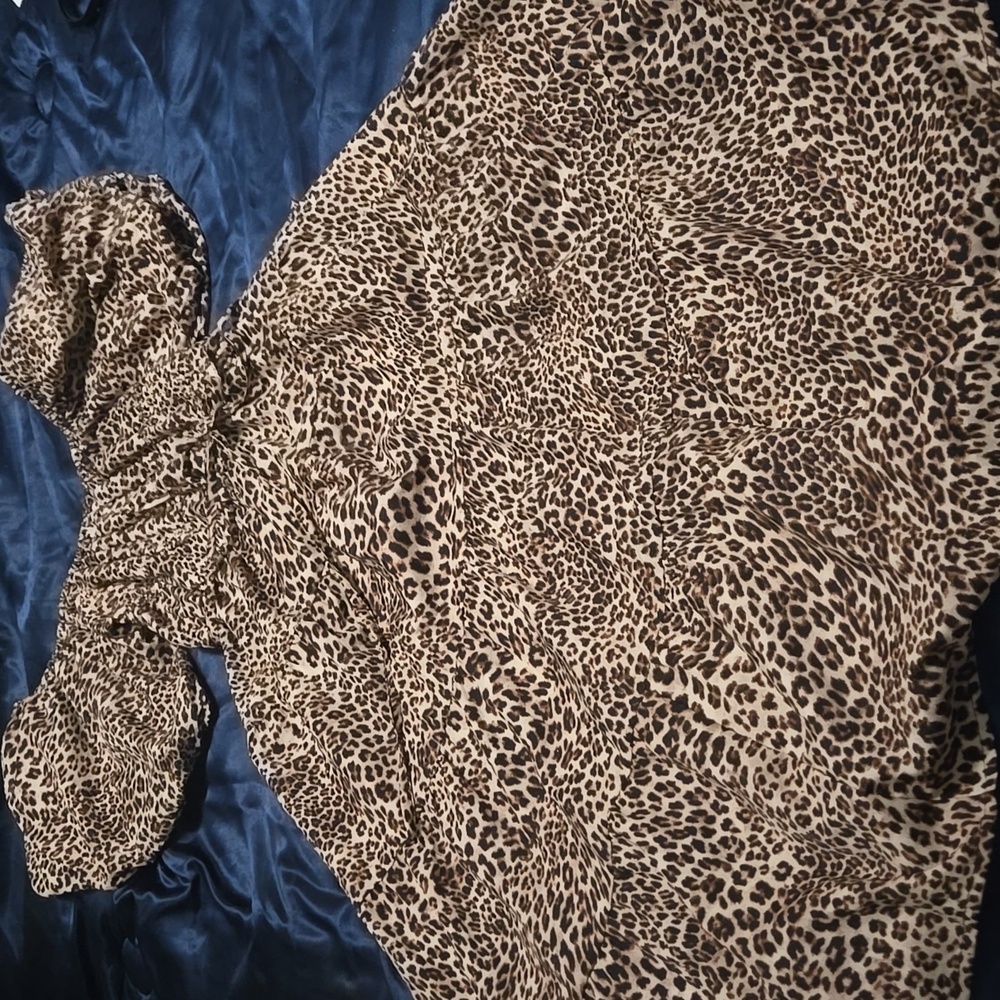 Leopard Print Maxi Dress - Picture 4 of 6